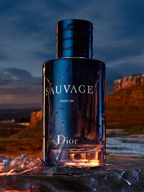 sauvage Dior cost